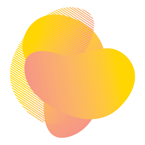 Modern Fluid Banner Design PNG