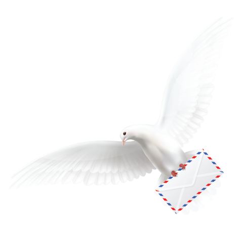 Flying white pigeon with envelope