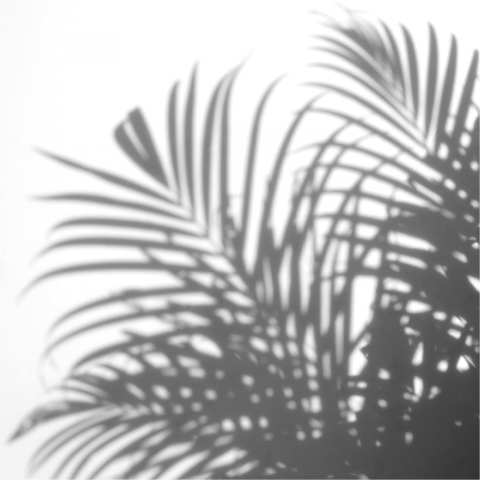 Shadow Png Free Download