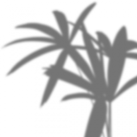 Shadow Png Free Download