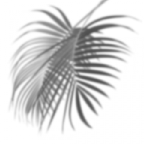 Shadow Png Free Download