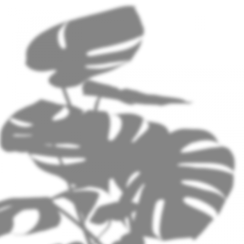 Shadow Png Free Download