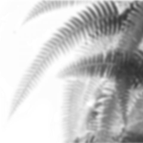 Shadow Png Free Download