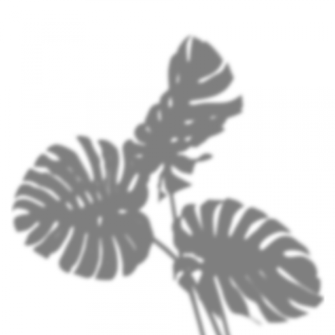 Shadow Png Free Download