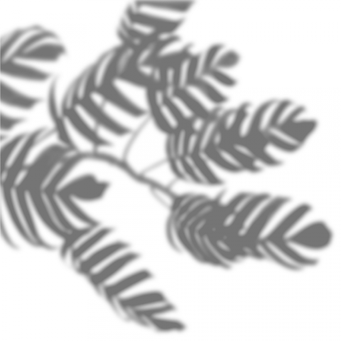 Shadow Png Free Download