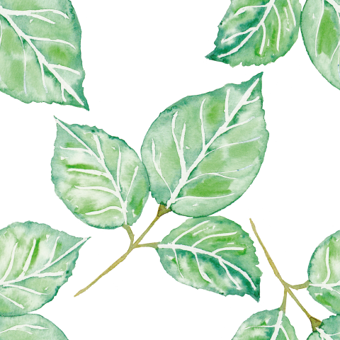 Watercolor Leaves Pattern Png