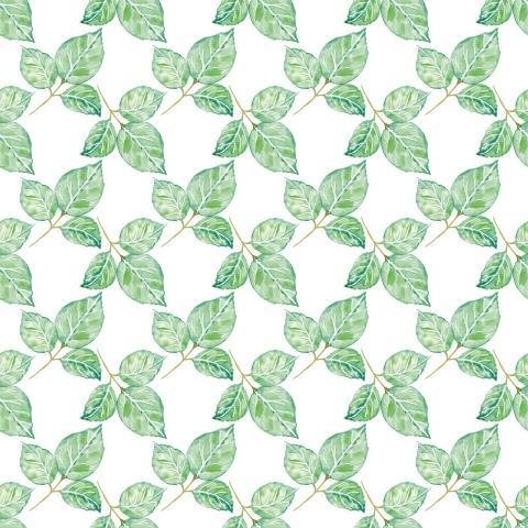 Watercolor Leaves Pattern Png