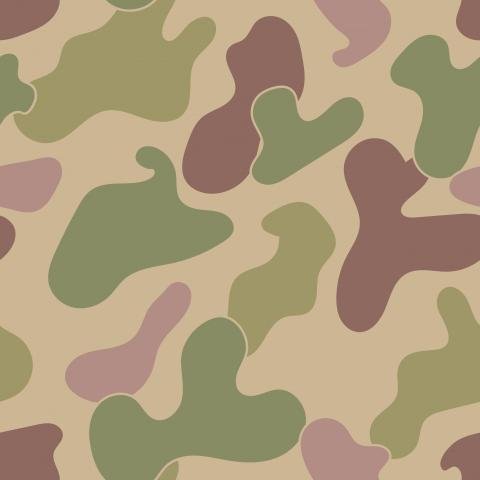 Military Camouflage Pattern Image