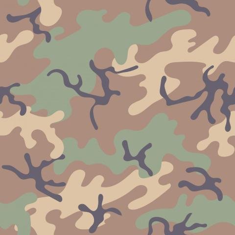 Camouflage Pattern Jungle 1968