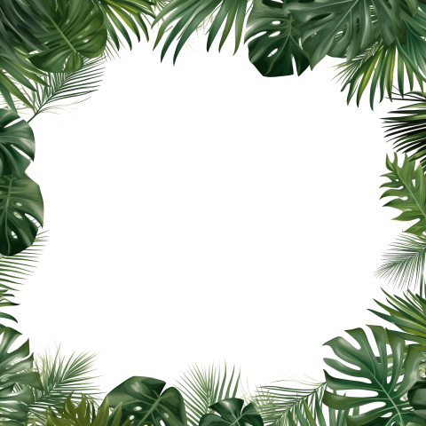 Palm Leaves Border PNG