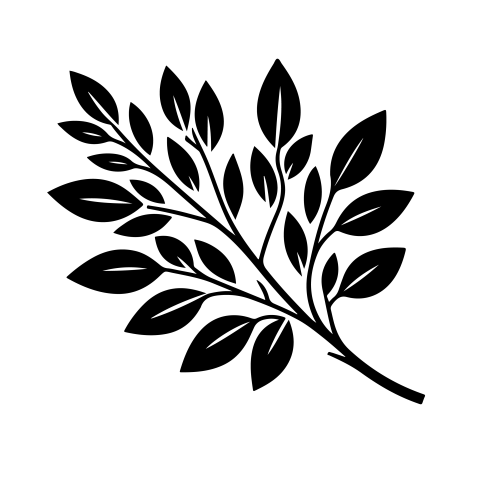 Silhouette PNG Leaves Branch