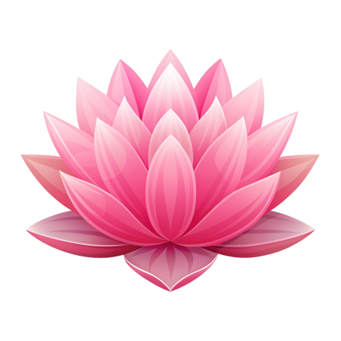 Lotus Flower Vector Png
