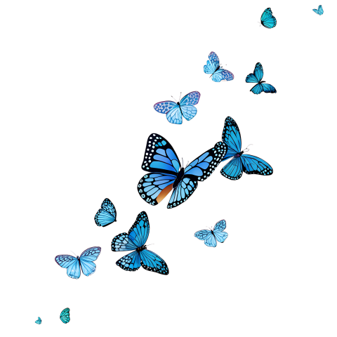 Blue Butterflies Flying with Delicate Png Image