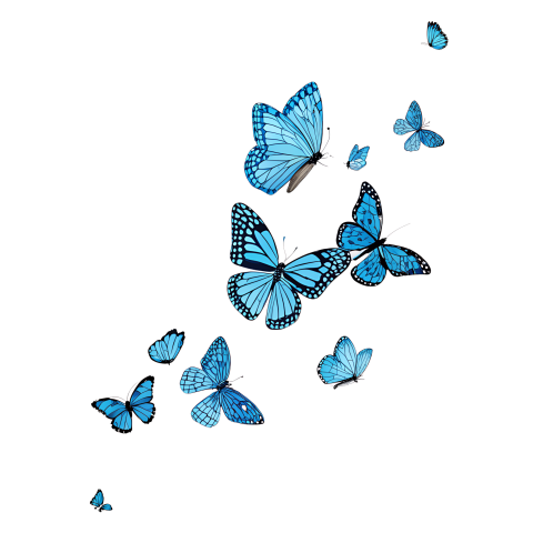 Blue Butterflies Flying with Delicate Png Image