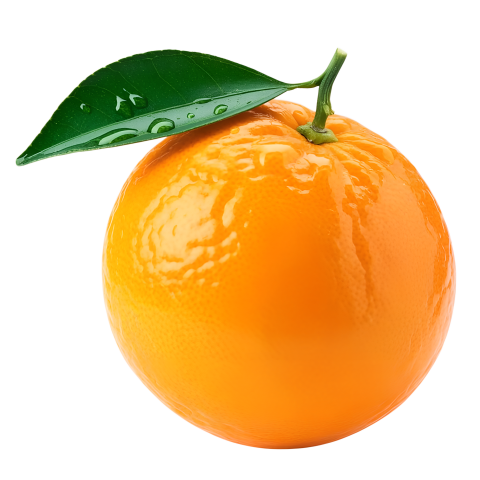 Fresh Orange Fruit on Transparent Background