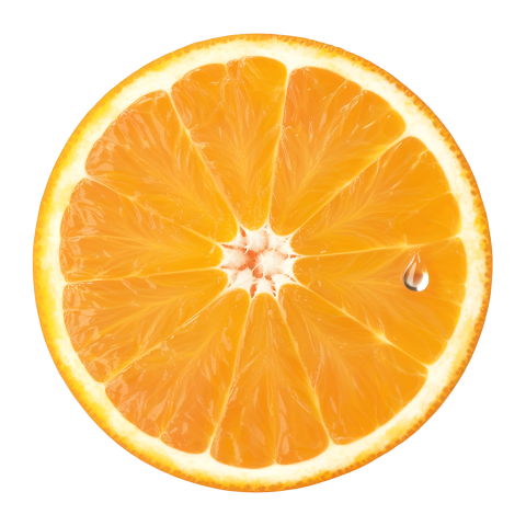 Orange Slice on Transparent Background