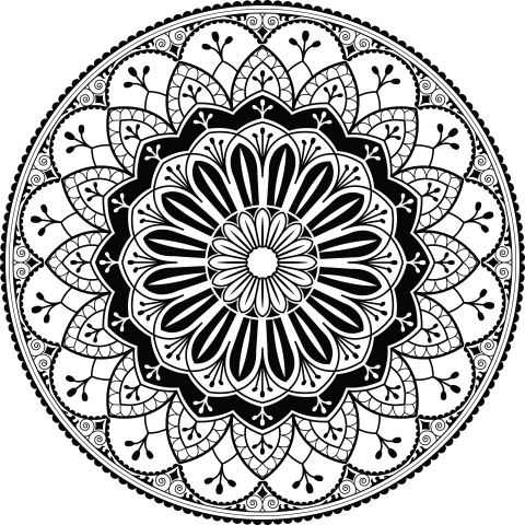 Floral Decorative Element Design