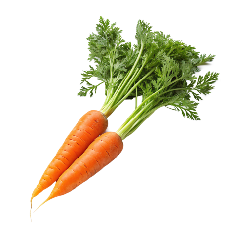 Carrots transparent image png