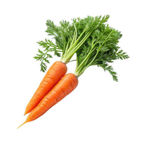 Carrots transparent image png