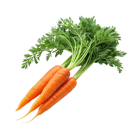 Carrots transparent image png