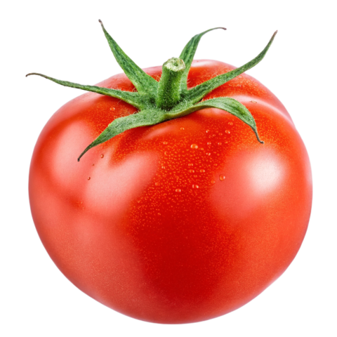 Transparent tomato image png