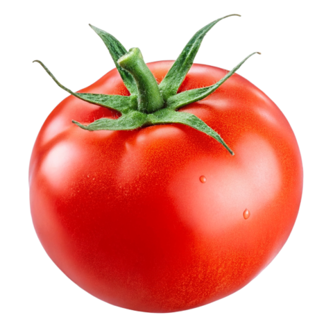 Transparent tomato image png