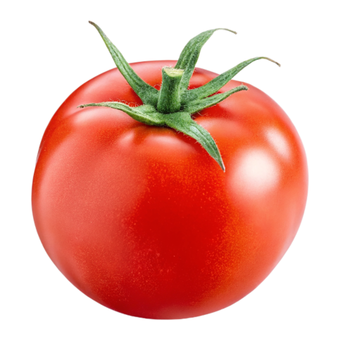 Transparent tomato image png
