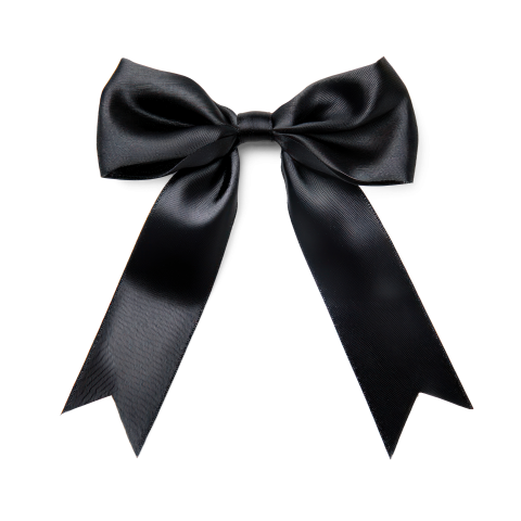 Elegant Black Bow on transparent Background