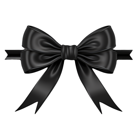 Elegant Black Bow on transparent Background