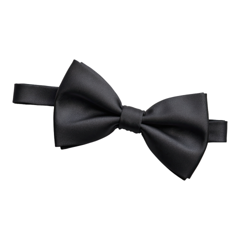 Elegant Black Bow on transparent Background