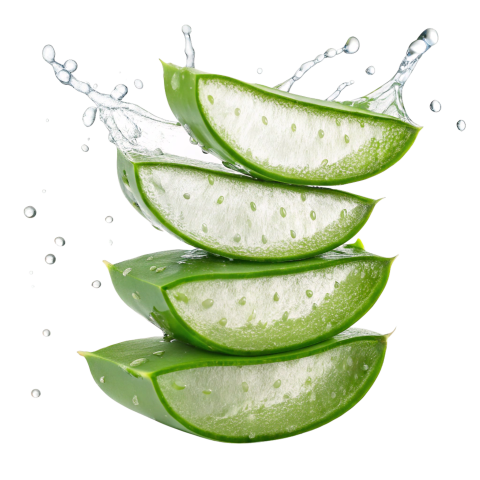 Fresh Aloe Vera Slices on Transparent Background Png
