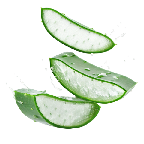 Fresh Aloe Vera Slices Floting on Transparent Background Png
