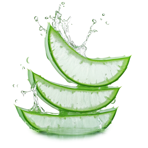 Fresh Aloe Vera Slices on Transparent Background Png