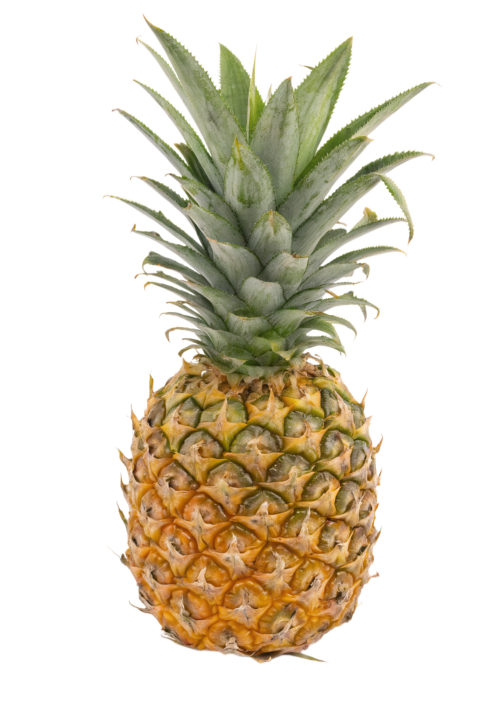 Fresh Pineapple Isolated on Transparent Background
