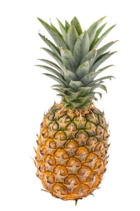 Fresh Pineapple Isolated on Transparent Background