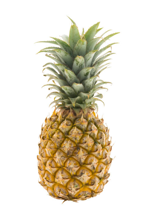 Fresh Pineapple on Transparent Background