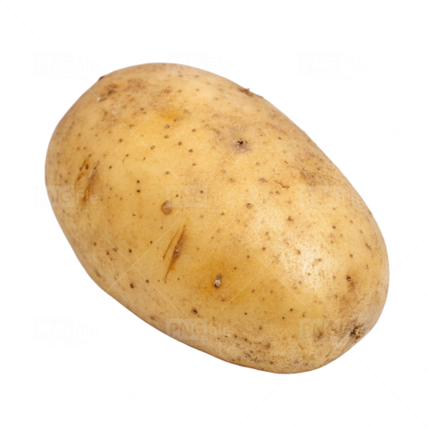 Transparent potato image png - Photo #2574 - PngFile.net | Free PNG ...